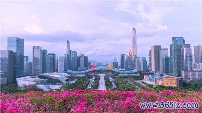 探索广州独特的高端茶文化
