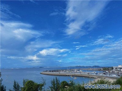 广州98场部长的联系方式详解